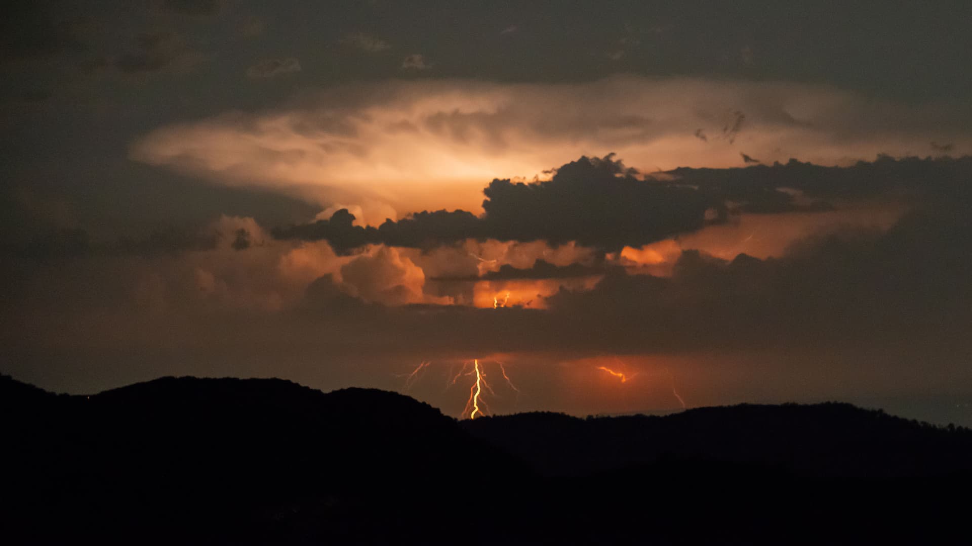 ¿Hasta qué punto es excesiva la prevención de incendios forestales?