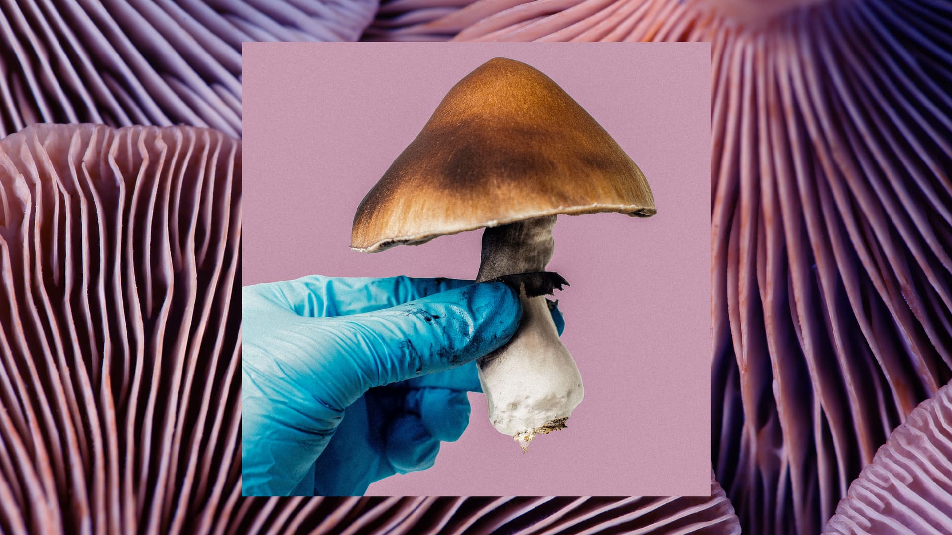 Las sustancias psicoactivas (aún) se quedan cortas en los ensayos clínicos