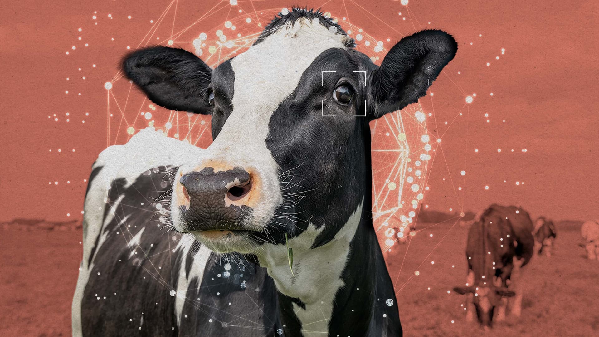 El movimiento por el bienestar animal del Área de la Bahía quiere reclutar a la IA