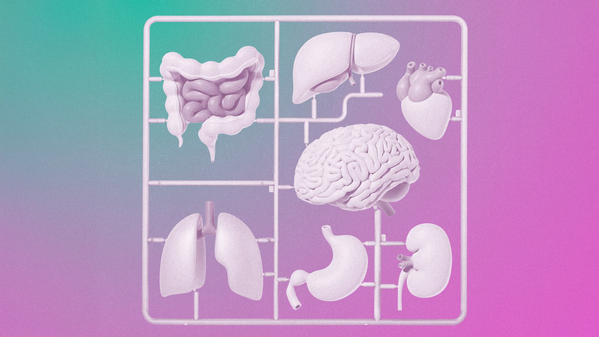 Terapias con células madre que funcionan: 10 Tecnologías Emergentes 2025