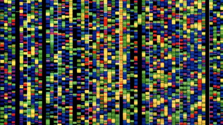 La nueva IA de Google ayudará a los investigadores a entender cómo funcionan los genes