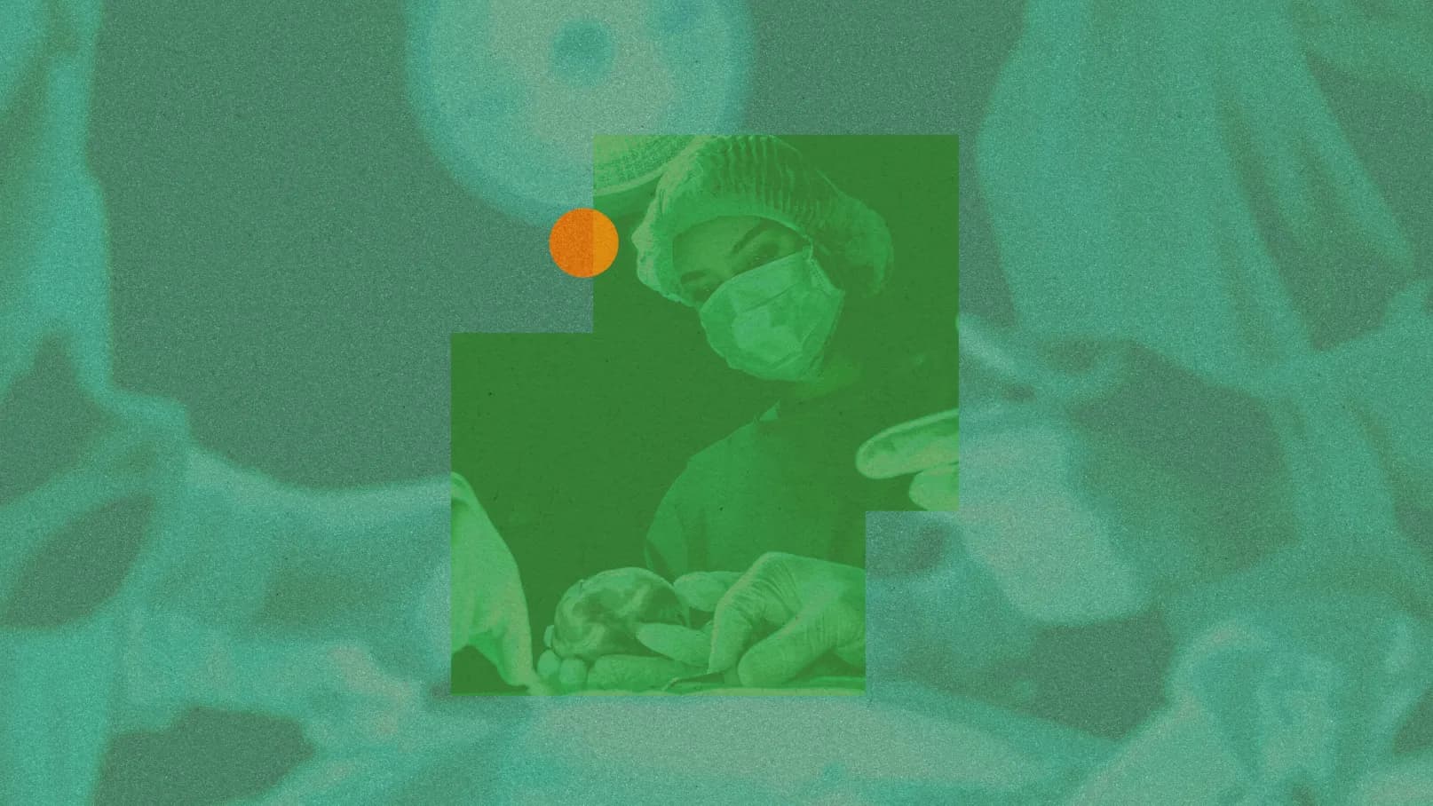 Trasplantes para la inmortalidad: Putin y Xi Jinping frente al envejecimiento