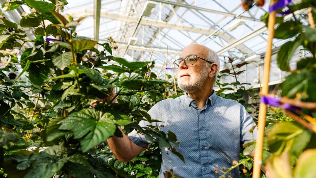 Pairwise y sus cultivos adaptados al clima