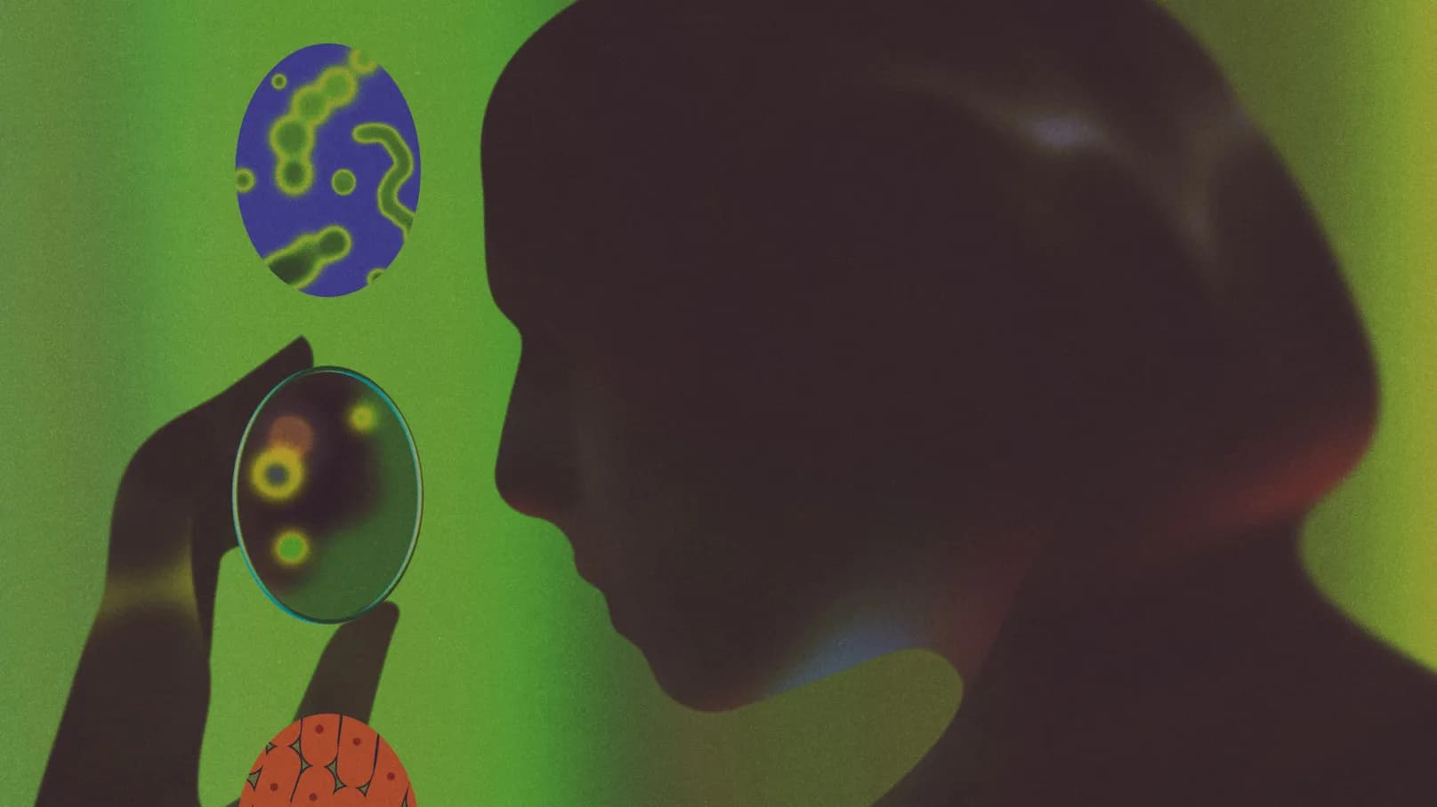 La ciencia busca una métrica para medir la salud del sistema inmune