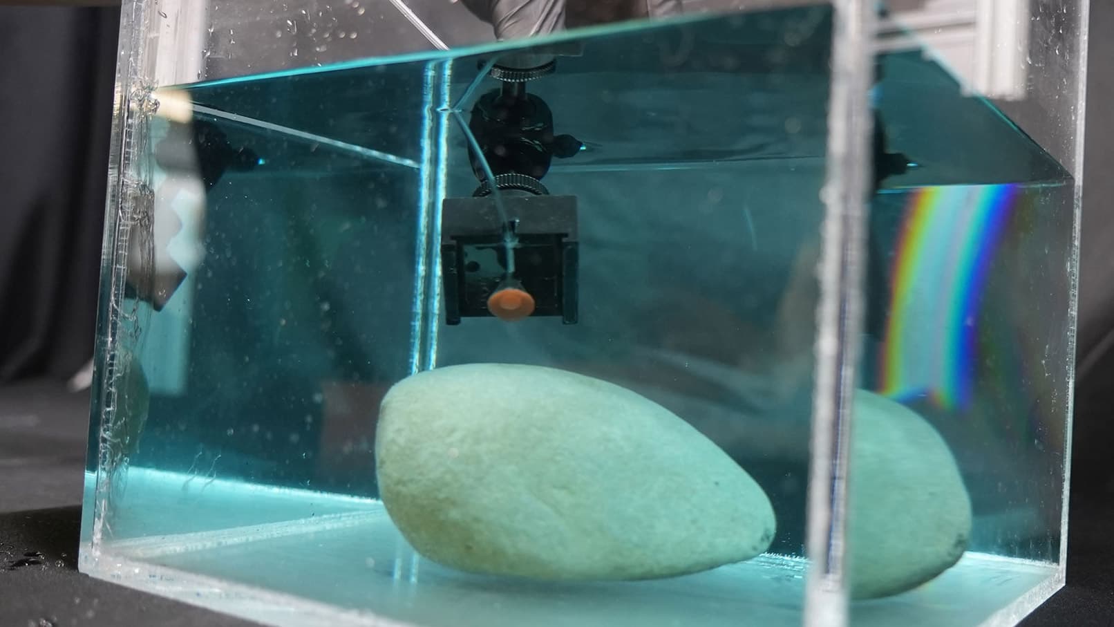 Este adhesivo inspirado en los pulpos es capaz de pegarse a casi cualquier cosa