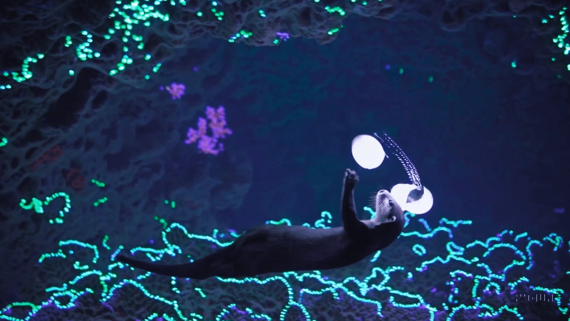 Todo lo que debes saber de Sora, el generador de vídeos que OpenAI ha abierto al público