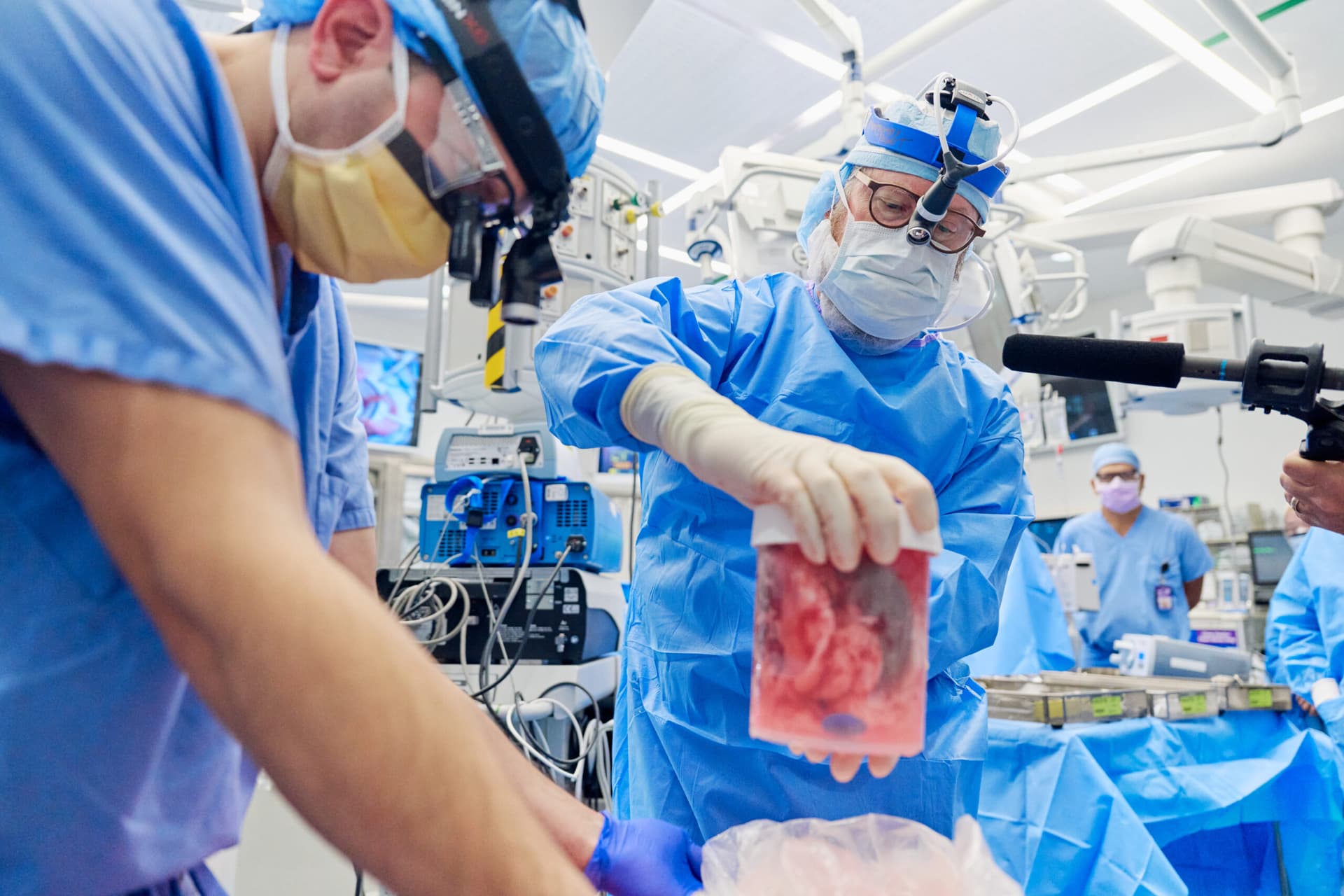 Una mujer en EE UU se convierte en la tercera persona que recibe un riñón de cerdo modificado genéticamente