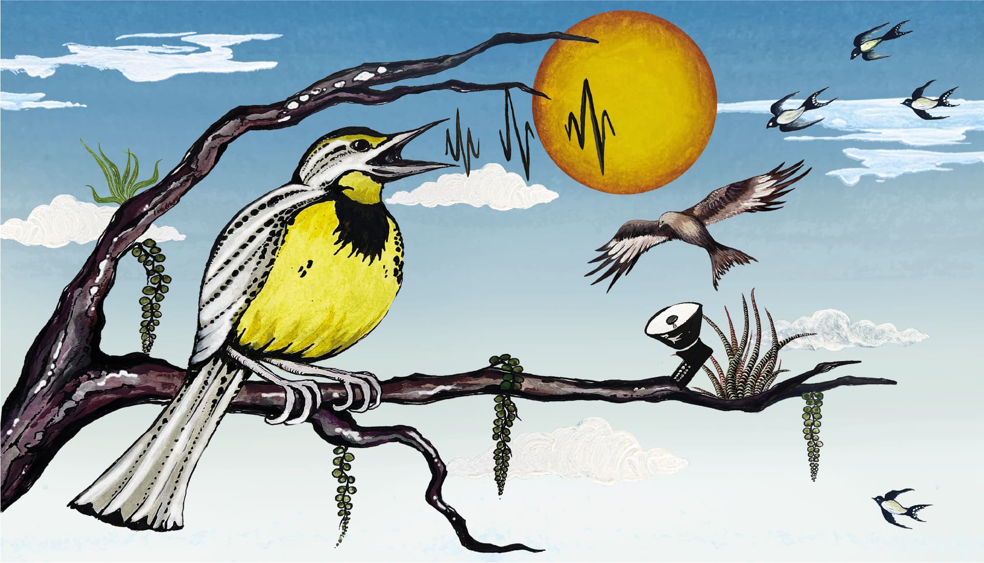 Convirtiendo los trinos en datos: esta IA estudia la migración de las aves a través del sonido