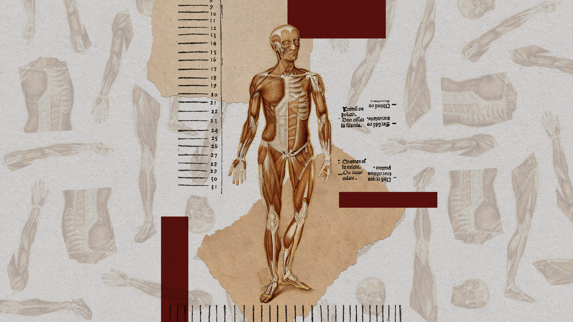 Cuerpos cultivados en laboratorio: el debate ético de esta posible revolución médica