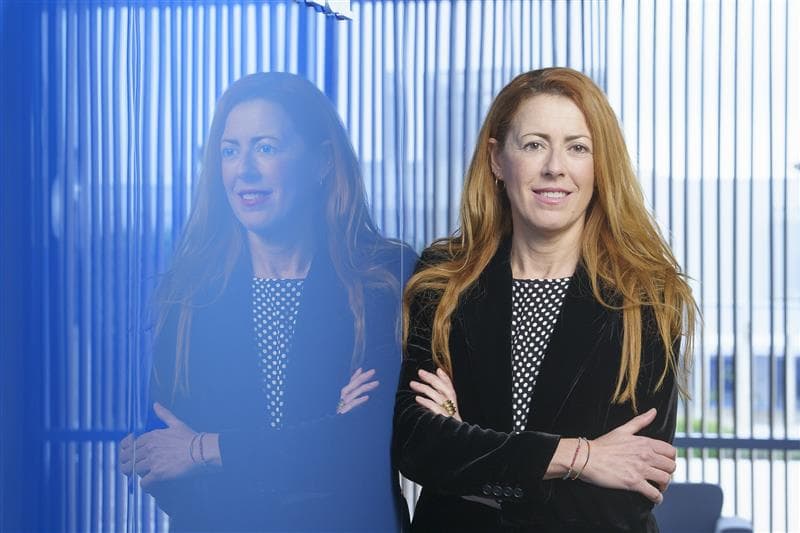 Por qué la innovación abierta impulsa la transición ecológica